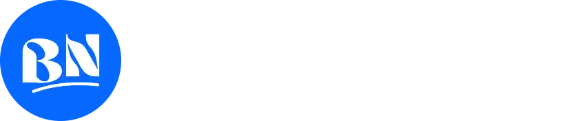 blognews elementor lite demo footer logo